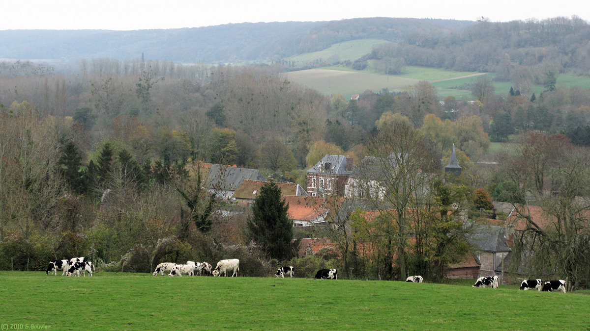 St Martin le Gaillard (St Sulpice)