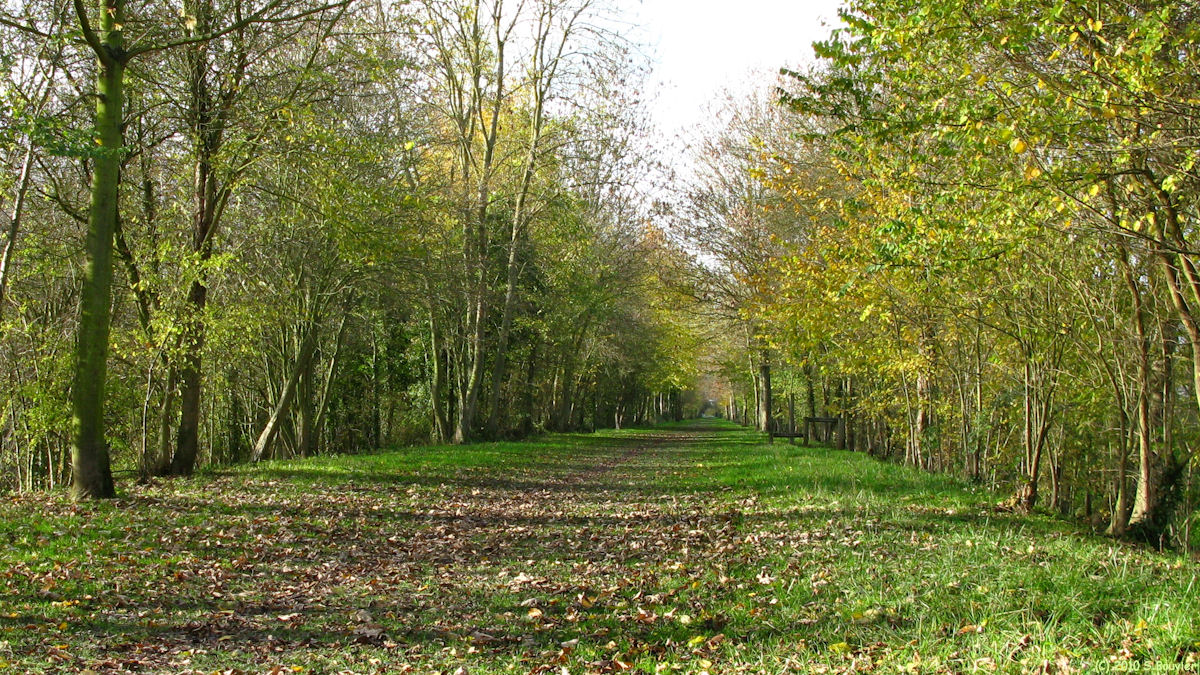 Le Tréport (Chemin)