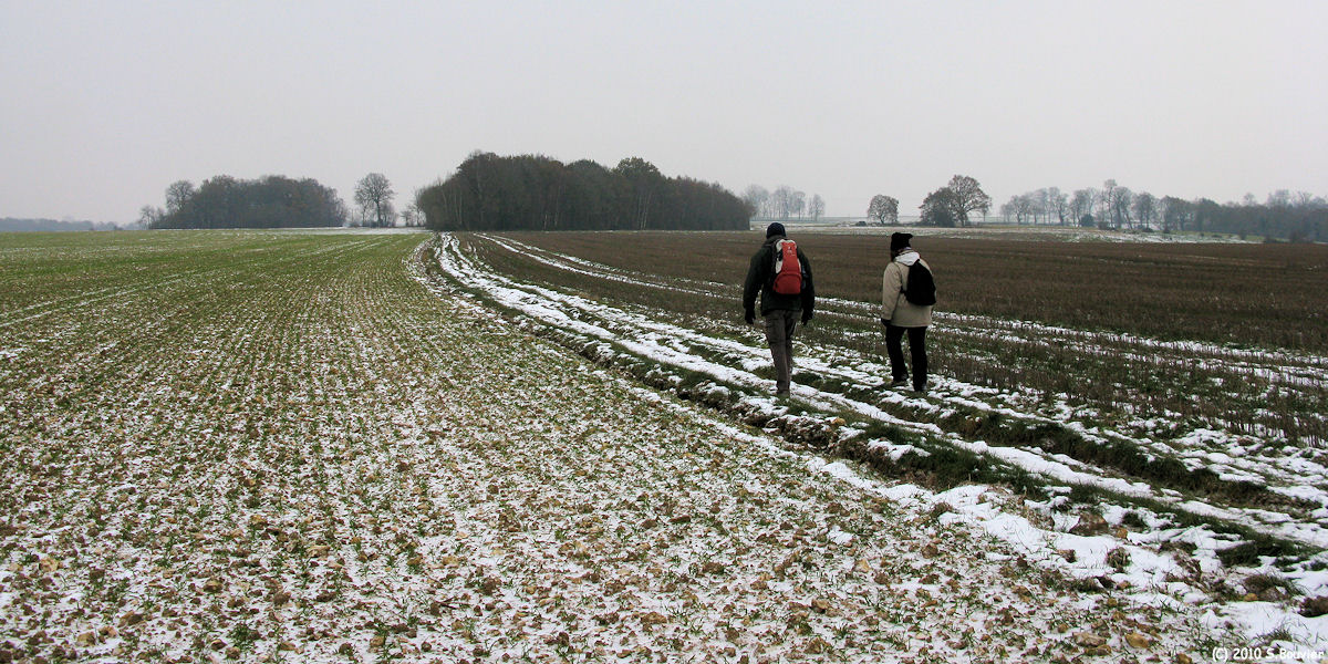Douvrend (Chemin 1)
