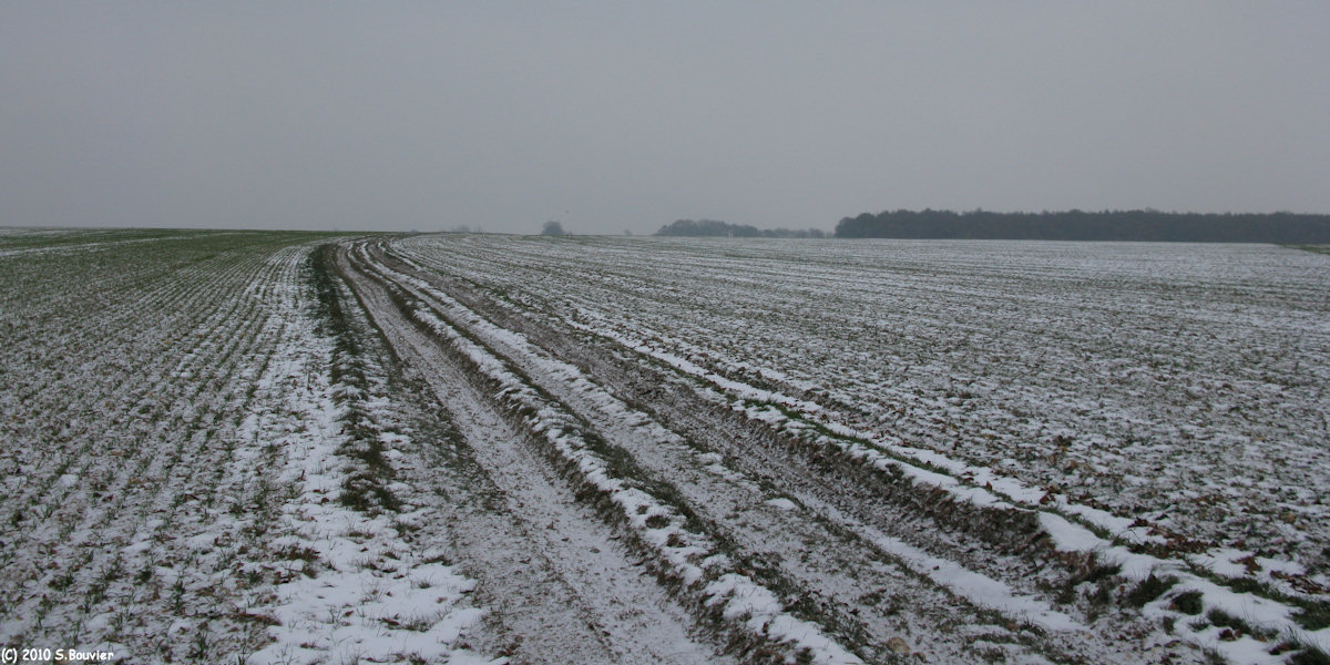 Douvrend (Chemin 2)