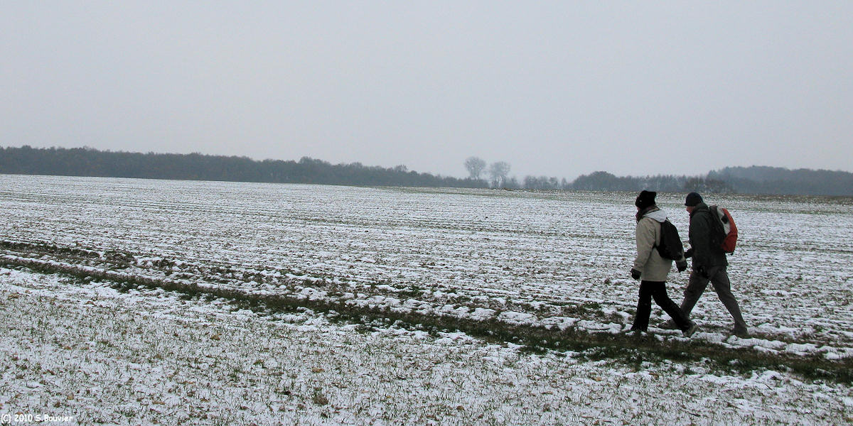 Douvrend (Chemin 3)