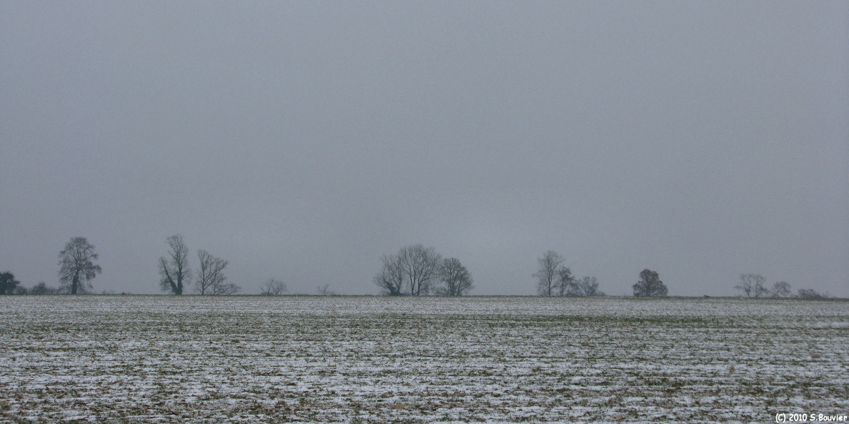 Douvrend (Plaine)