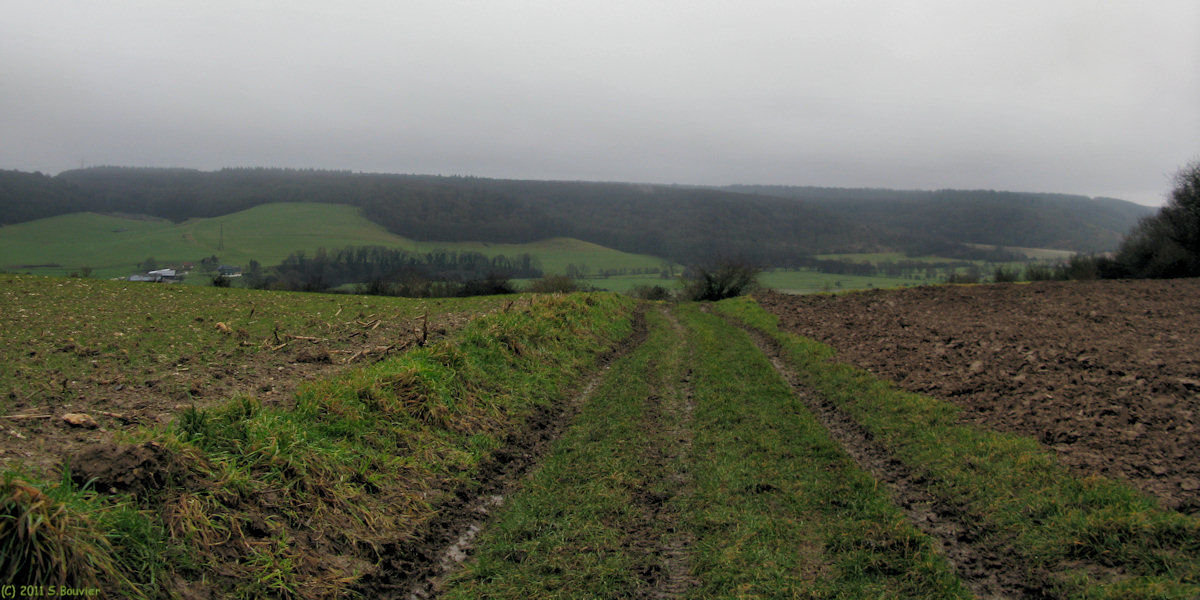 Bellengreville (Chemin 2)