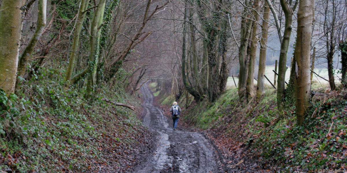 Bellengreville (Chemin 3)