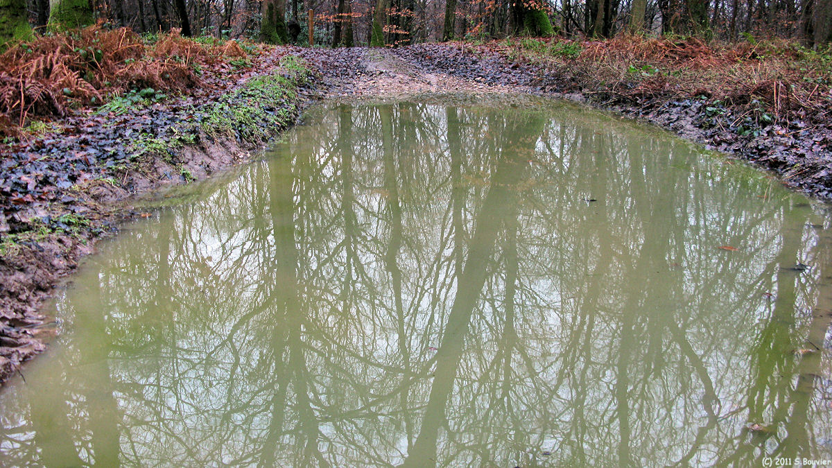 Bellengreville (Reflets 2)