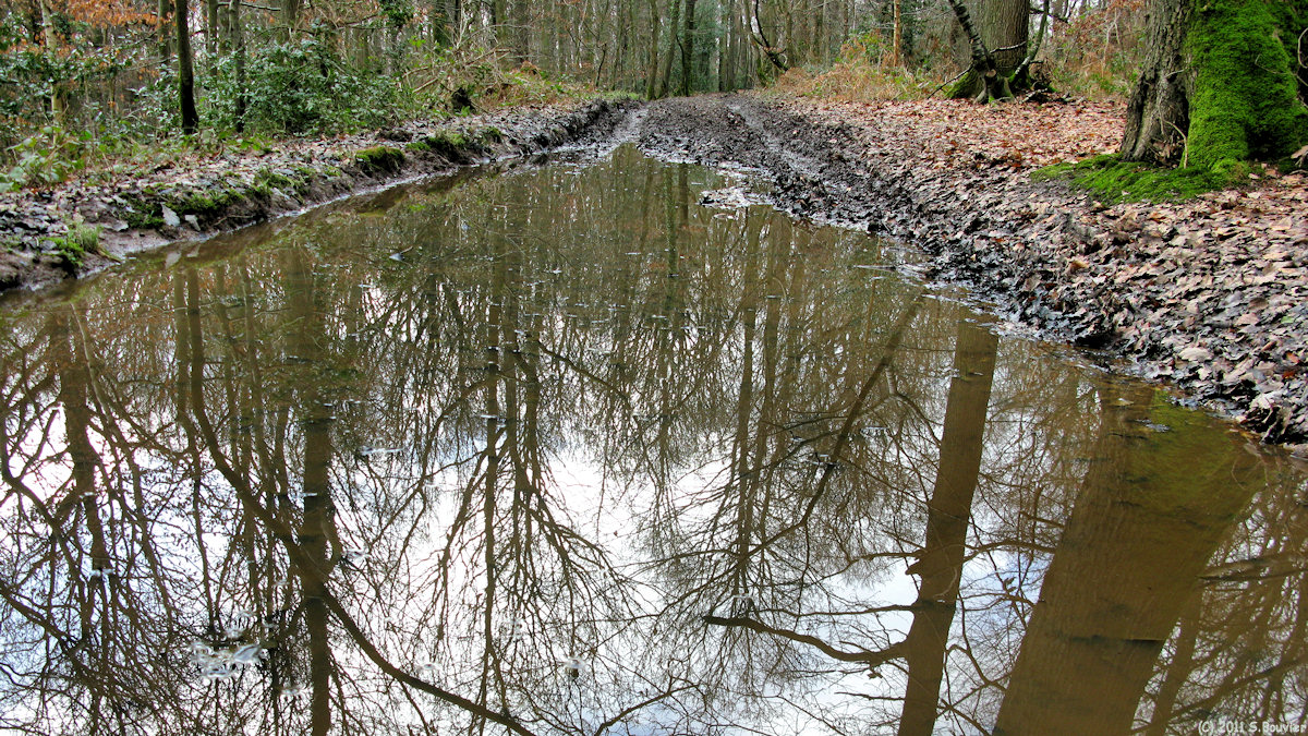 Glicourt (Reflets)