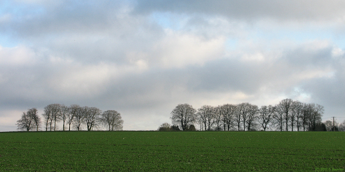 Bellengreville (Plaine 1)