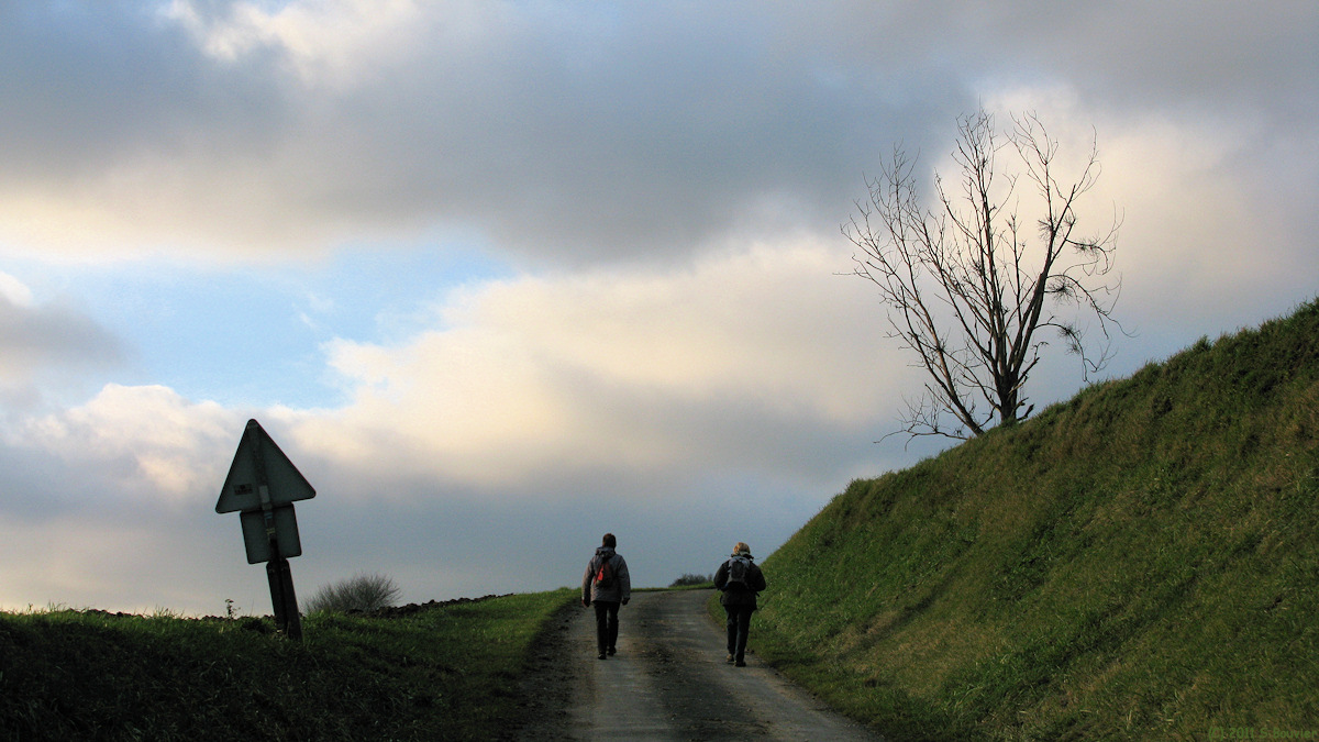 Sauchay (Route)