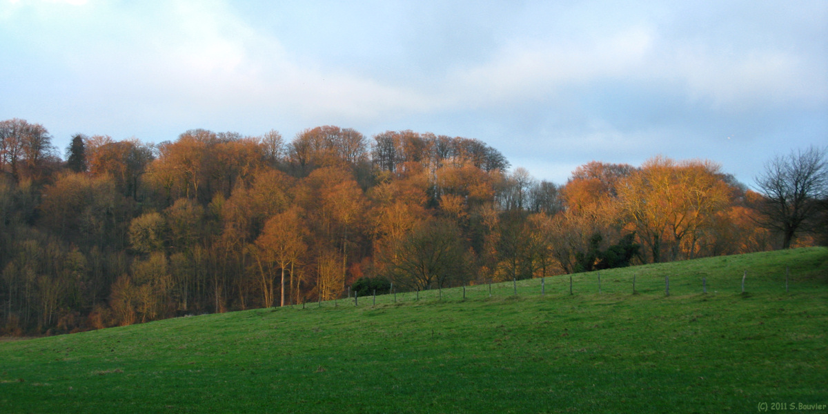 Derchigny (Prairie)