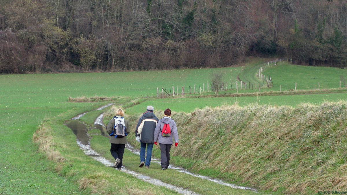 Envermeu (Chemin)