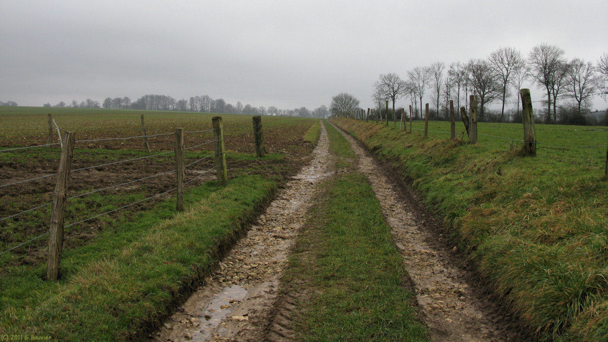 Notre Dame d'Aliermont (Chemin 1)