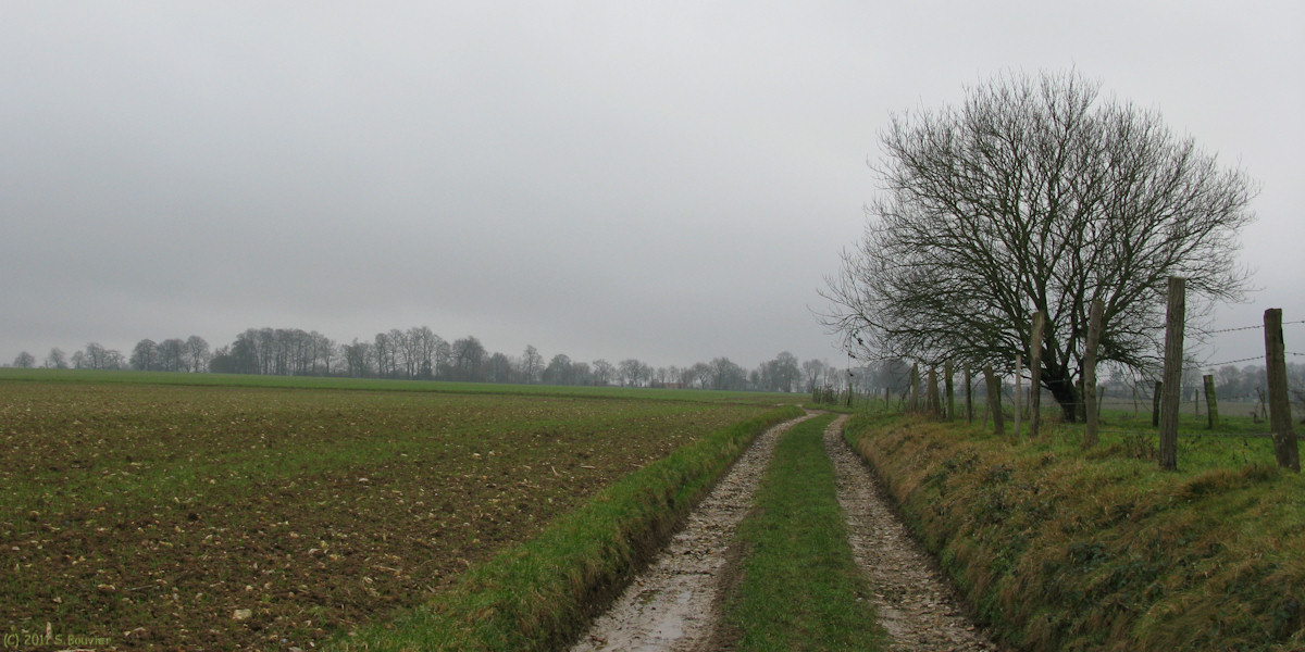Notre Dame d'Aliermont (Chemin 2)