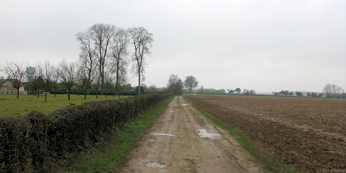 St Nicolas d'Aliermont (Chemin)