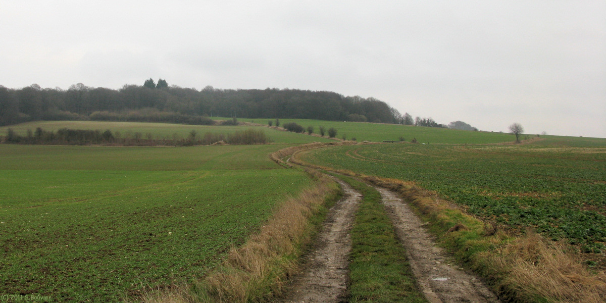 Envermeu (Chemin)