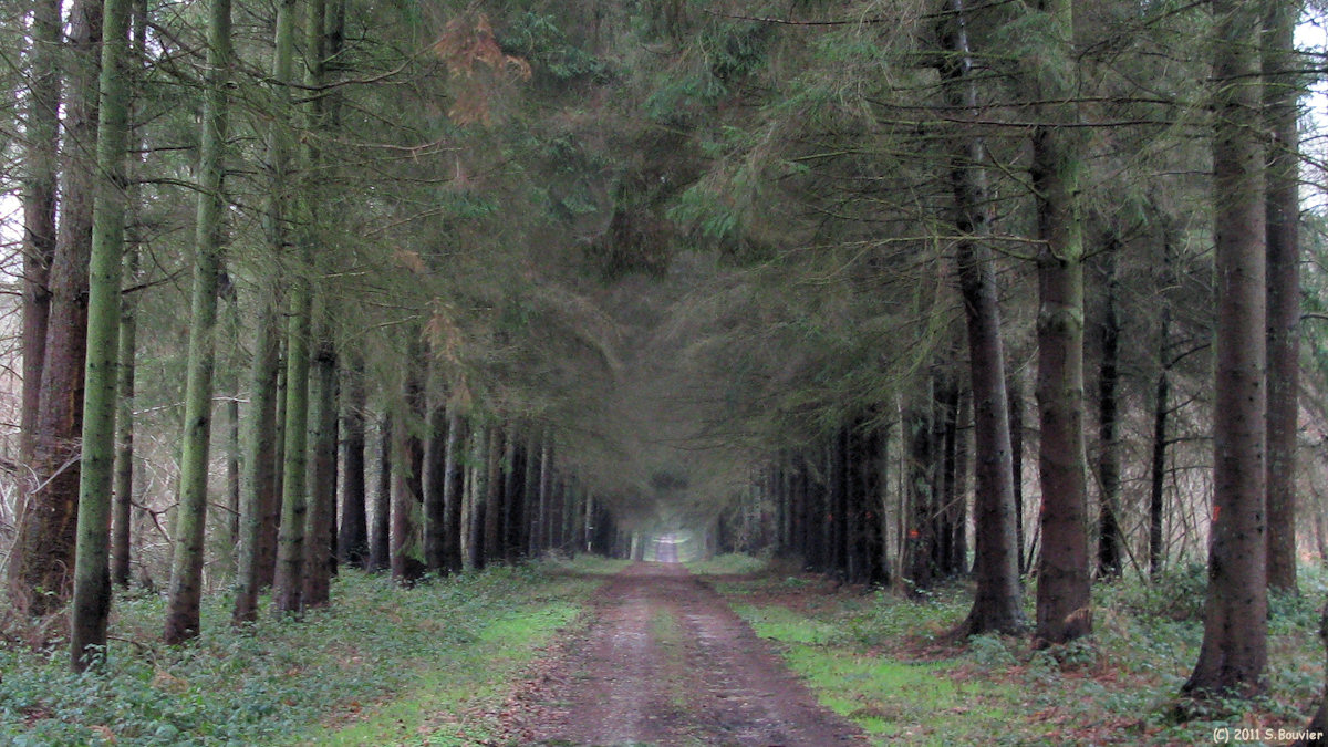 St Ouen sous Bailly (Farival)