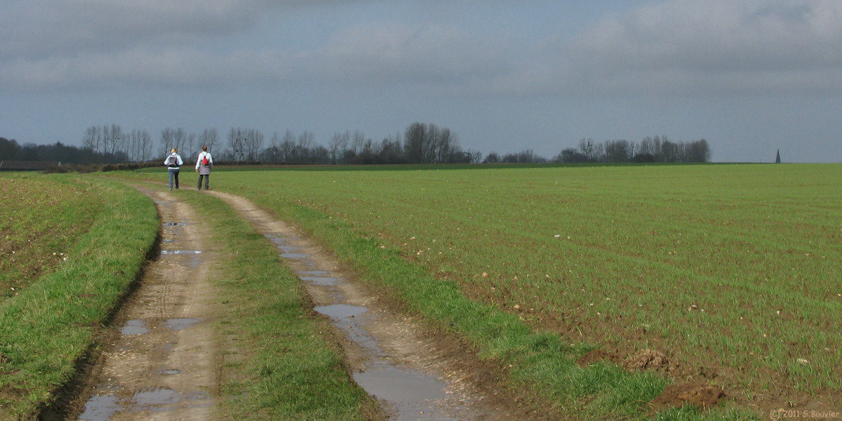 St Quentin au Bosc (Chemin 1)