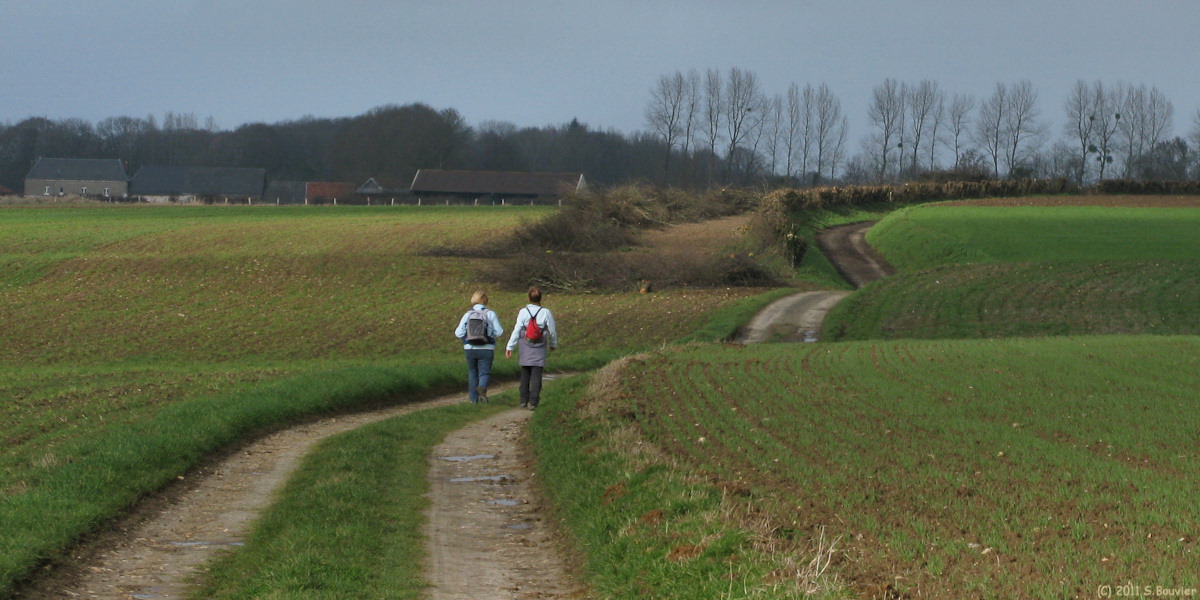 St Quentin au Bosc (Chemin 2)