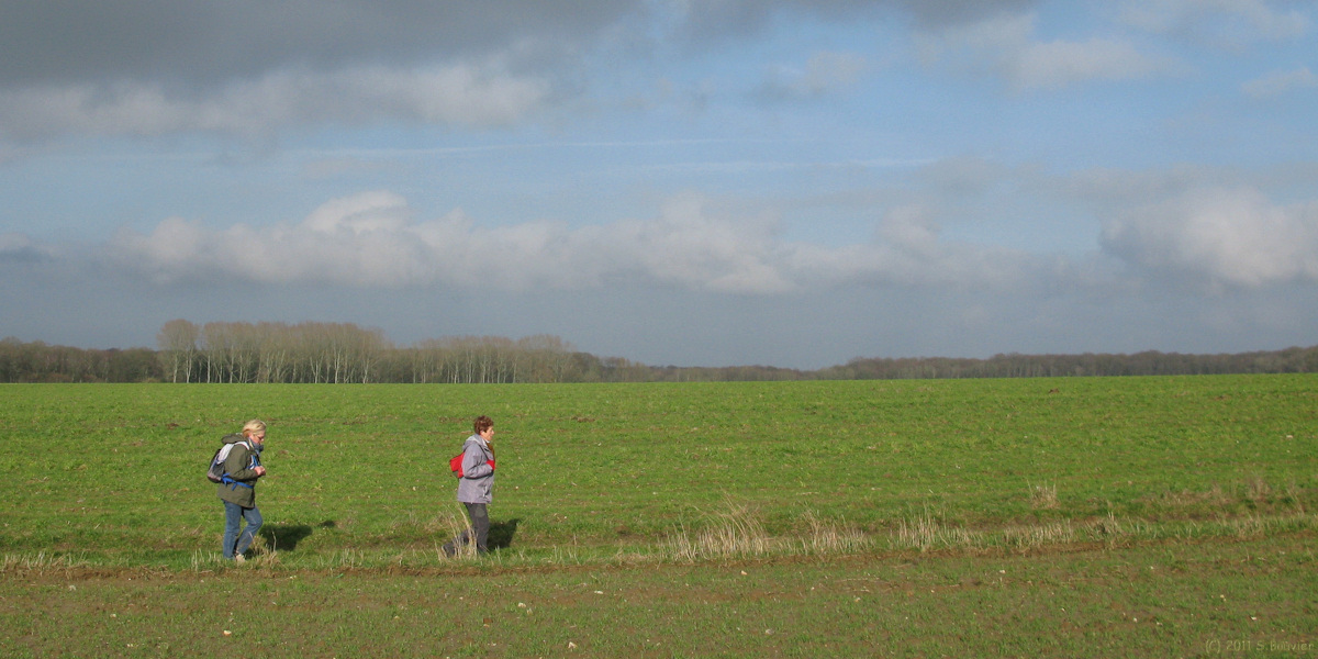 St Martin le Gaillard (Plaine 2)