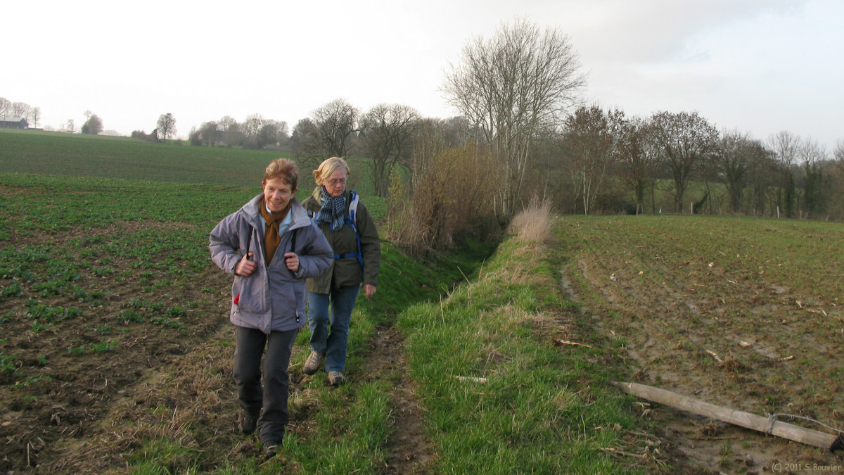 Cuverville sur Yères (Chemin)