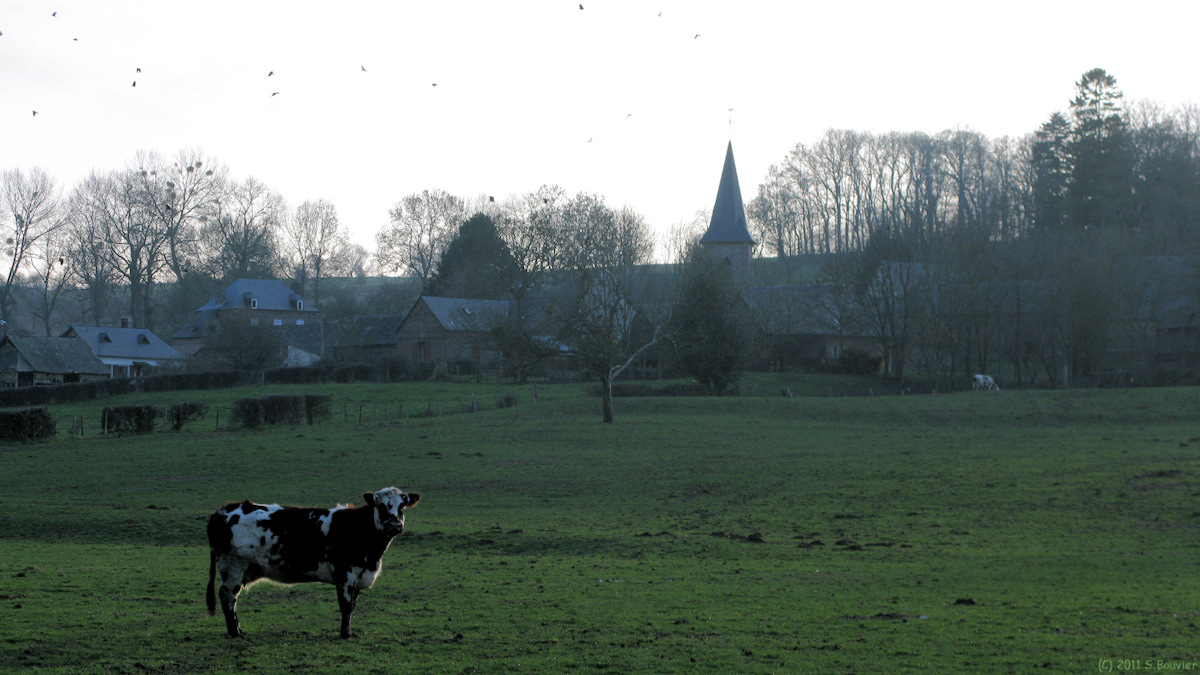 Avesnes en Val (Village)