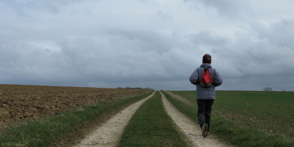 Cuverville sur Yères (Chemin)