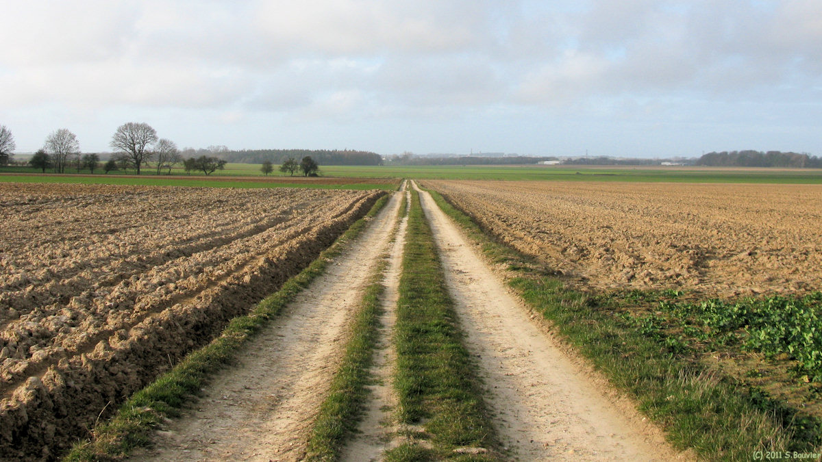 St Martin le Gaillard (Chemin 1)