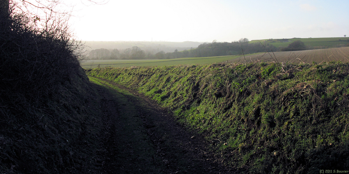 St Martin le Gaillard (Chemin 2)