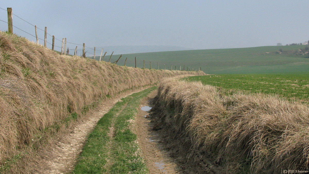 Sept-Meules (Chemin)
