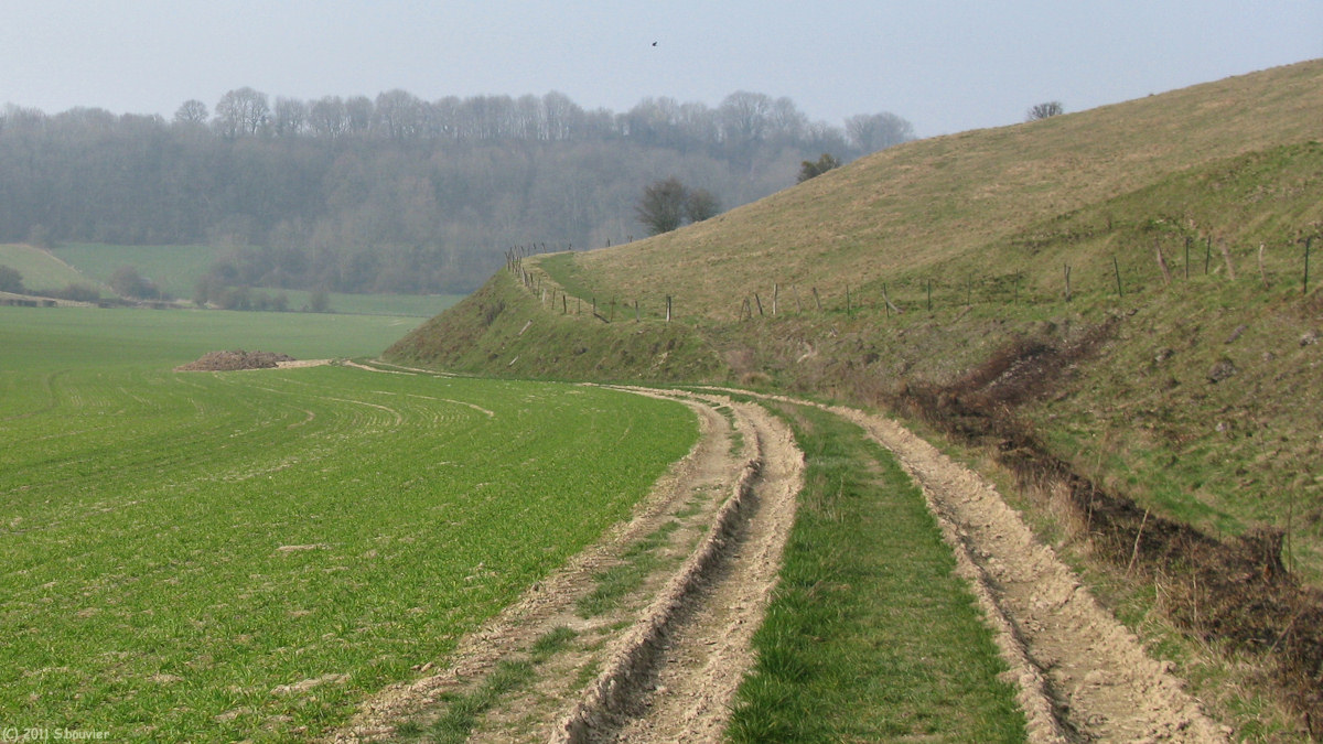 Avesnes en Val (Chemin)