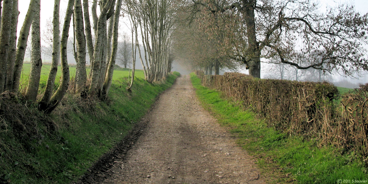 Grandcourt (Chemin 1)