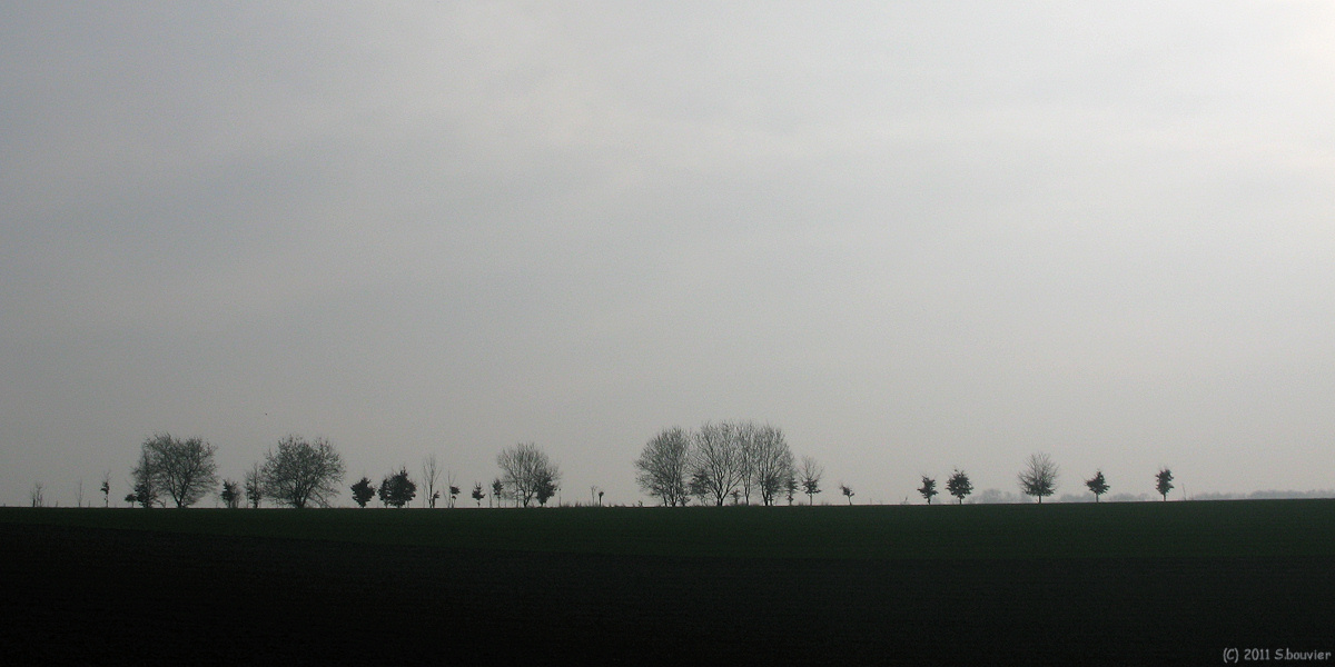 Grandcourt (Arbres)
