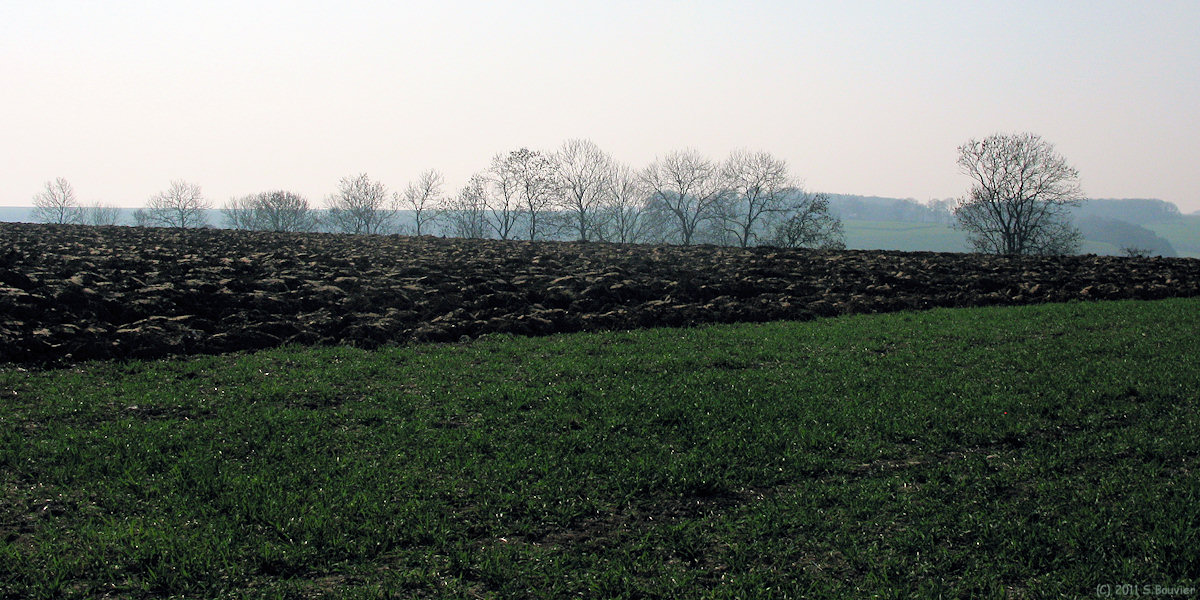 Smermesnil (Plaine 1)