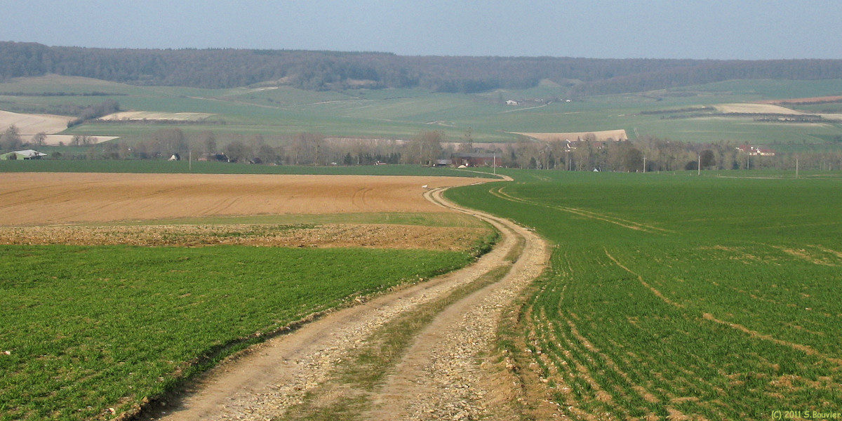 Dancourt (Chemin 1)