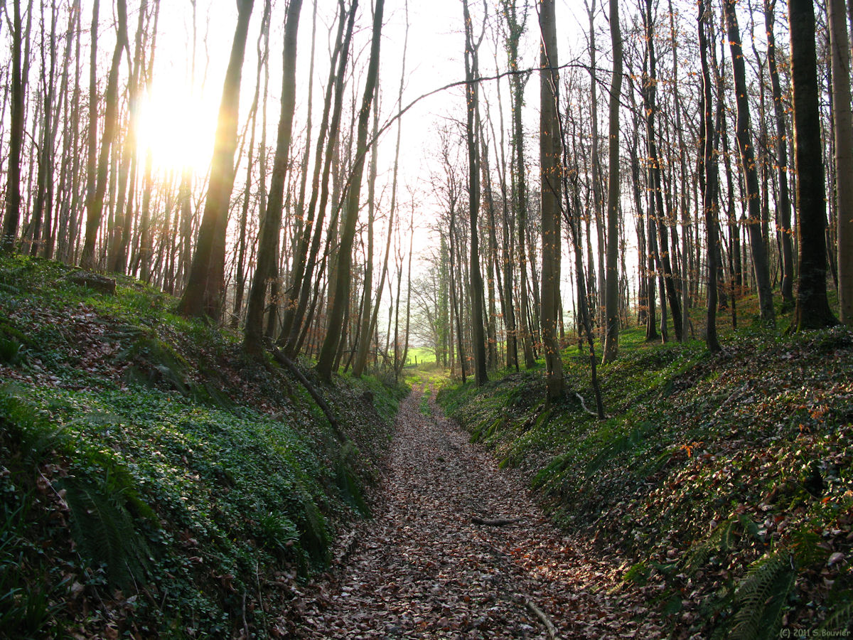 Dancourt (Chemin 2)