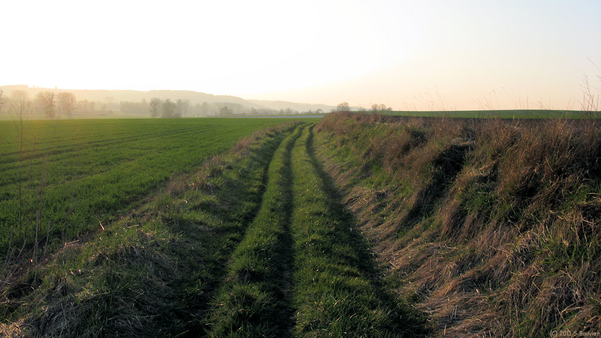 Dancourt (Chemin 3)