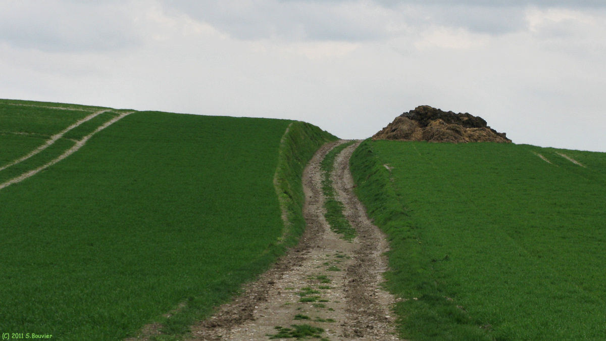 Grandcourt (Chemin 1)