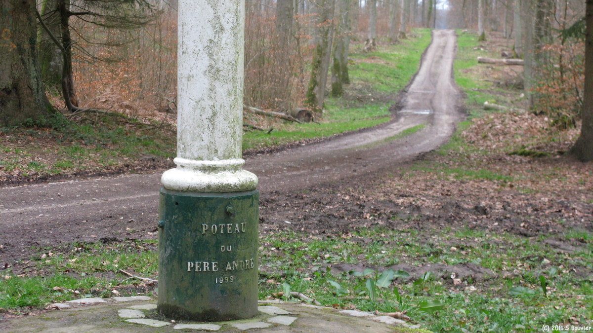 Forêt d'Eu (Poteau)