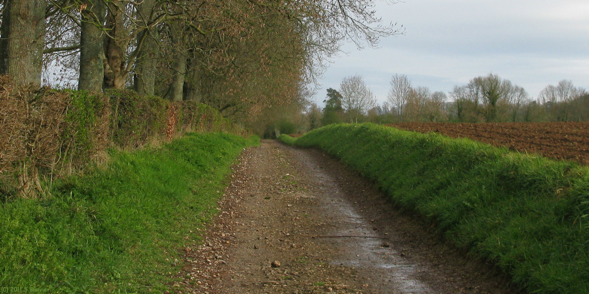 Grandcourt (Chemin 3)