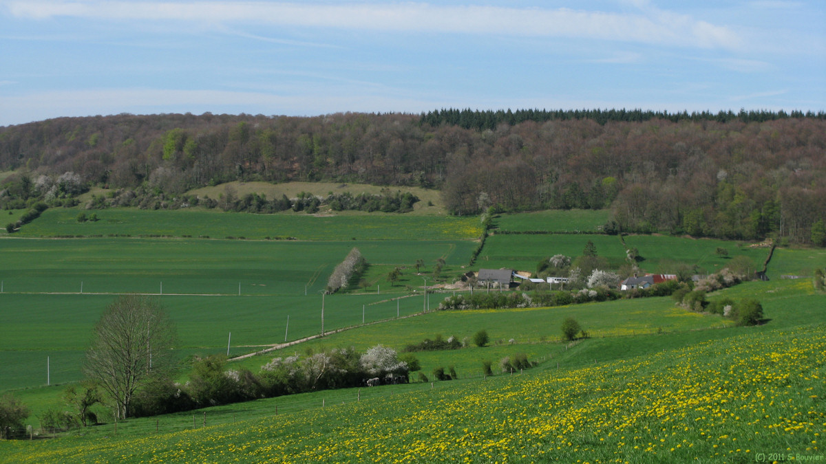Dancourt (le Goulet)