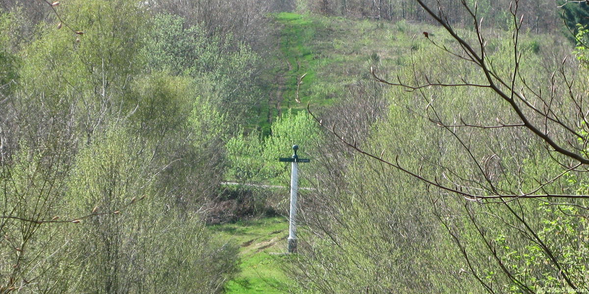 Haute Forêt d'Eu (Poteau 2)