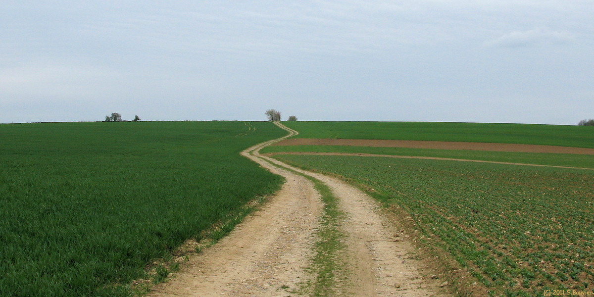 Dancourt (Chemin)