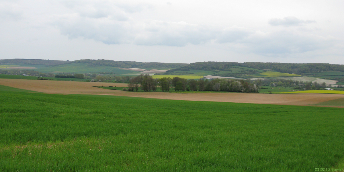 Dancourt (Vallée)