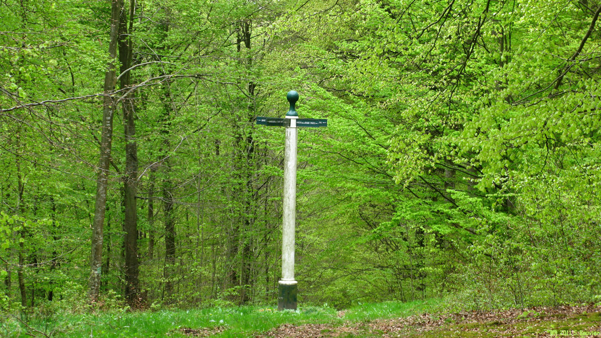 Haute Forêt d'Eu (Poteau)