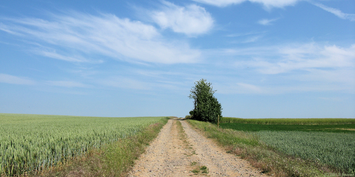 Breteuil (Brunehaut)