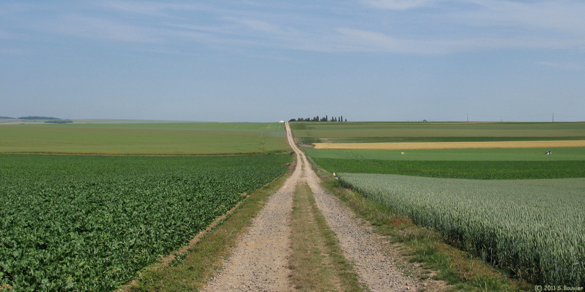 Paillart (Brunehaut)
