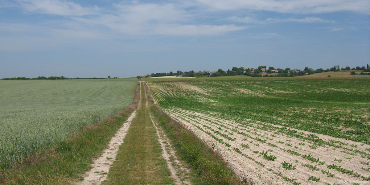 Folleville (Chemin)