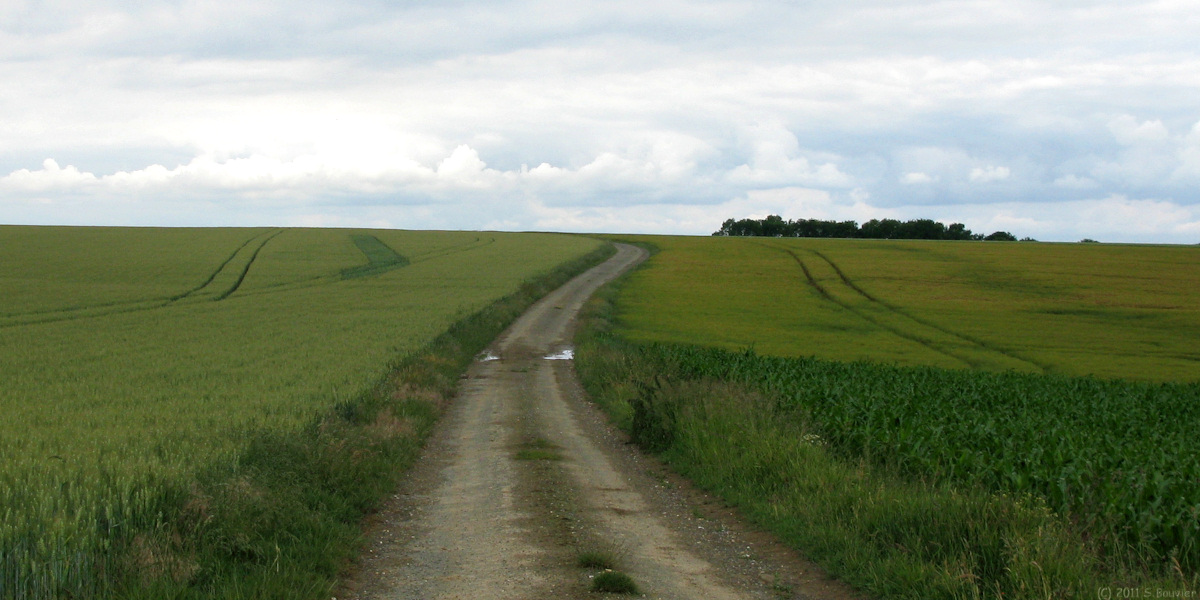 Blicourt (Chemin)