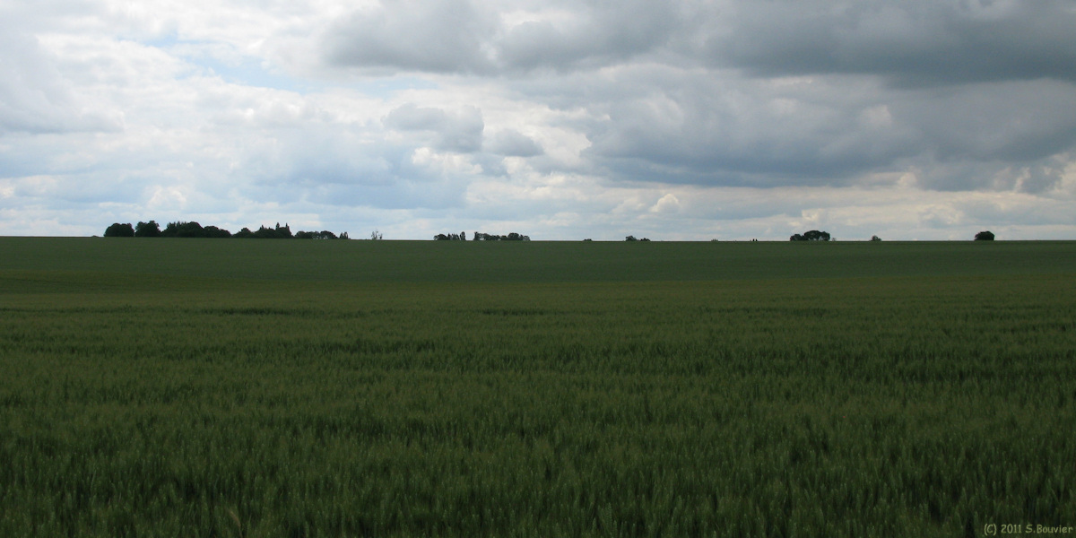 Blicourt (Fief)