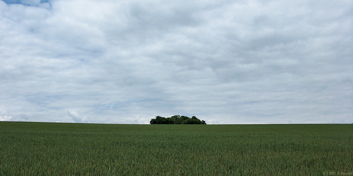 Oudeuil (Bois)