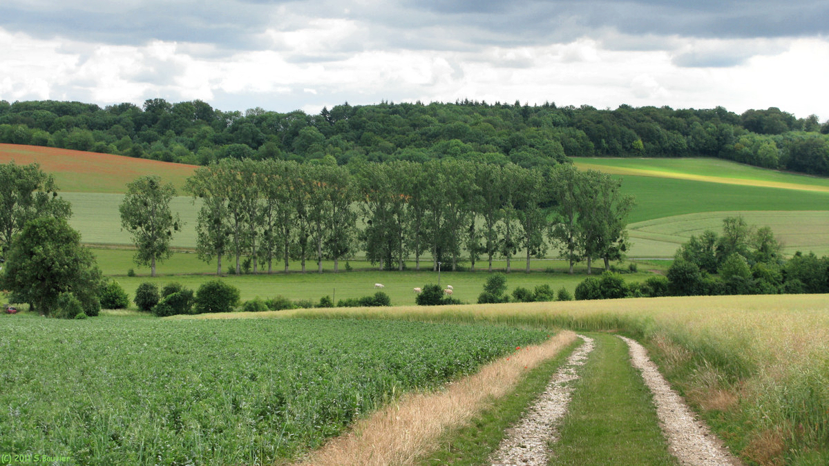 Oudeuil (Chemin)